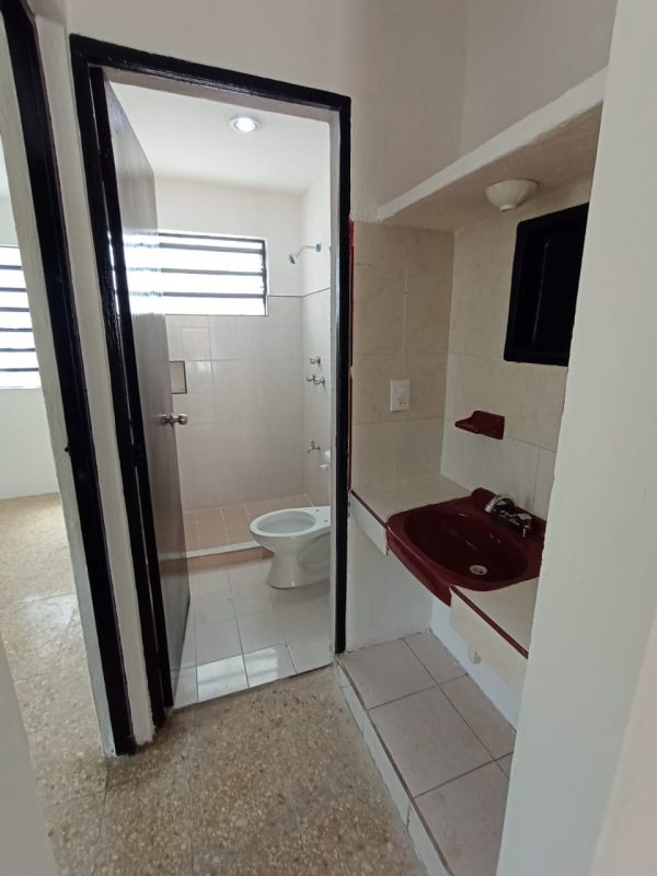 VERGEL JP - Image 5